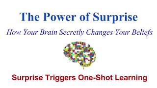 #4 How Surprise Triggers One-Shot Learning Net Worth