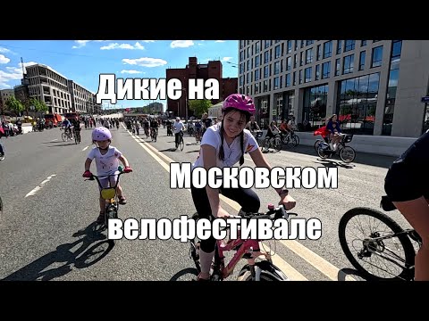 Видео: Дикие на Московском велофестивале 2024