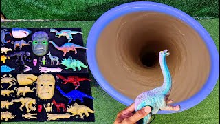 Vòng nước xoáy rửa các con vật, cá mập, bạch tuộc, skibidi toilet, khủng long, tinh tinh by Một Con Vịt Vlog 2,699 views 7 days ago 5 minutes, 49 seconds