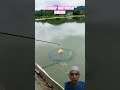 Siapa sih yang pencet like nya #funny #comedy #shortvideo #react #lucu #trending #shorts