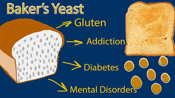 Is Bread yeast harmful for you? Baker’s yeast. How safe is eating bread?
