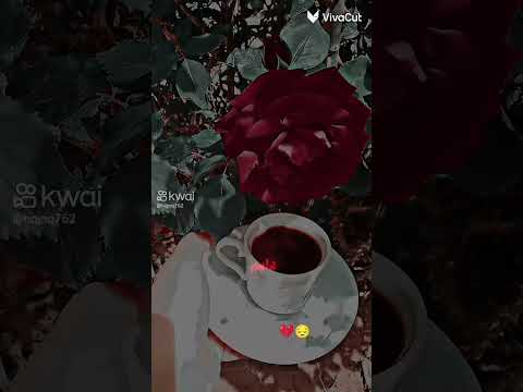 طعم الدنيا دائم مرا اكسبلور لايك اشتراك بالقناة