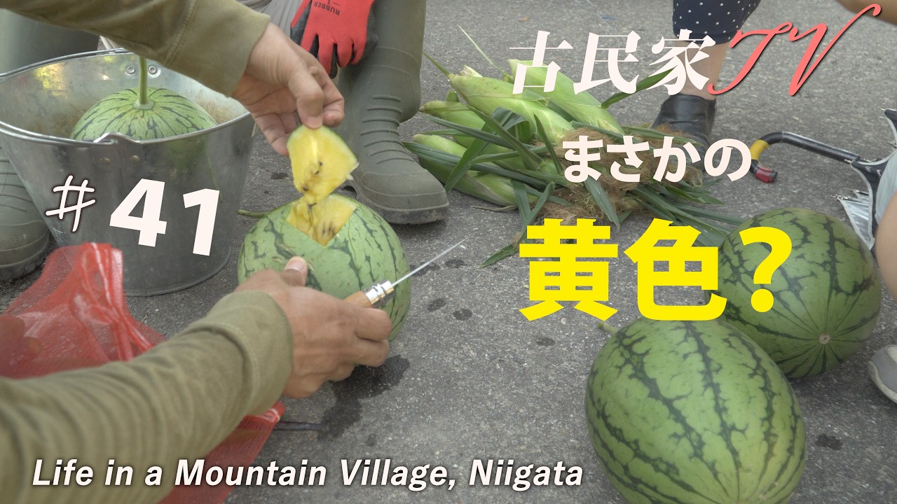 山奥の暮らしがまた一歩前へ。収穫、キャンプ場、そして地中から大量のゴミ…【第41話】