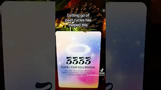 #AngelNumbers #DivinePurpose #BalancingBeautyAndBeast