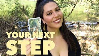 ‘Pick a Card’ Reading: What is your next step? 🧚‍♀️