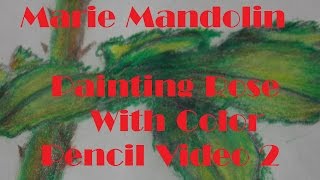Marie Mandolin ~ Painting A Rose With Colour Pencils Video 2