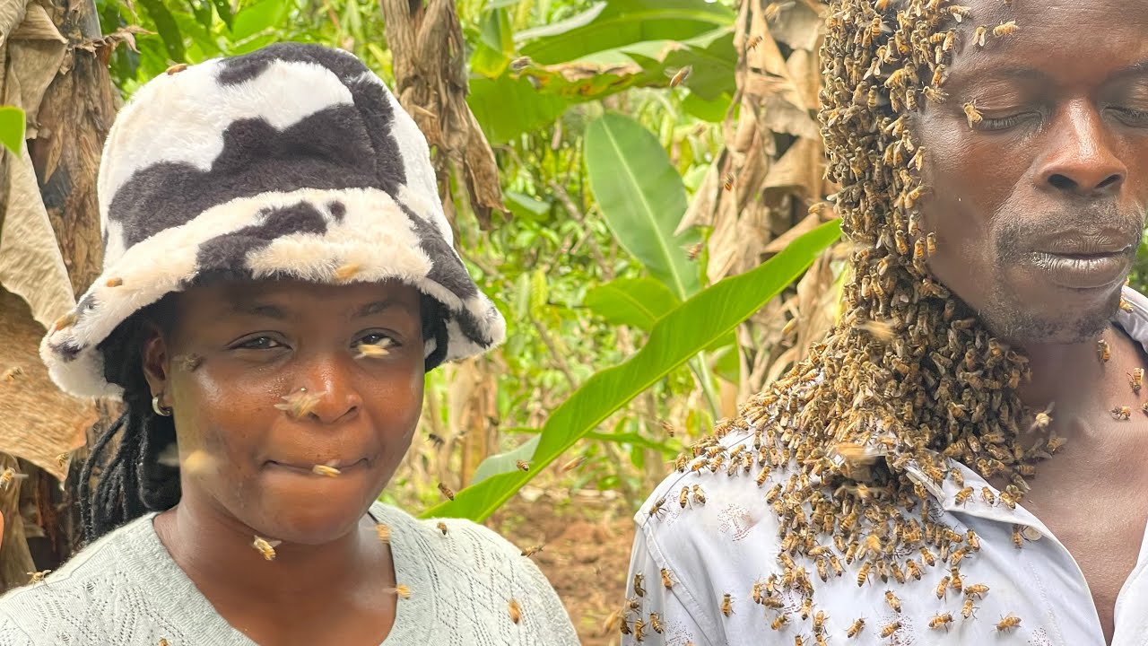 Деревня в Уганде, где пчелы арестовывают воров мотоциклов 🇺🇬
