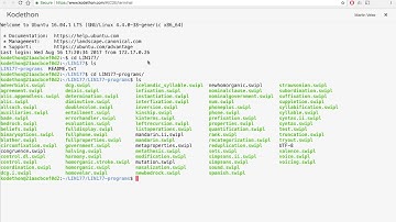 Consulting a Prolog Program: Unix Terminal