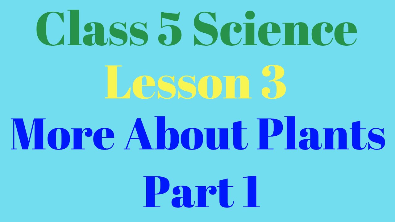 Class 5 Science Lesson 3 More About Plants Part 1 - YouTube