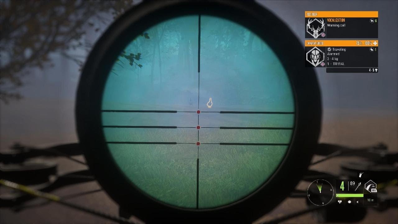 theHunter Call of the Wild Crossbow 1 YouTube