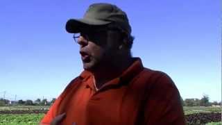 Ardenwood Farms Pumpkin Patch (07Oct2012; #00016)
