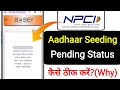 NPCI aadhaar seeding is in pending status kindly check after some time || dbt link pending problem