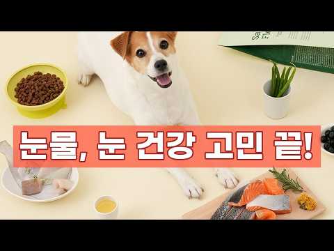 눈물, 눈 건강 고민 끝! 본아페티 플러스 프리미엄 기능성 수제사료