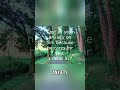 Walk Your Worries Away: Let God Carry Your Burdens #shorts