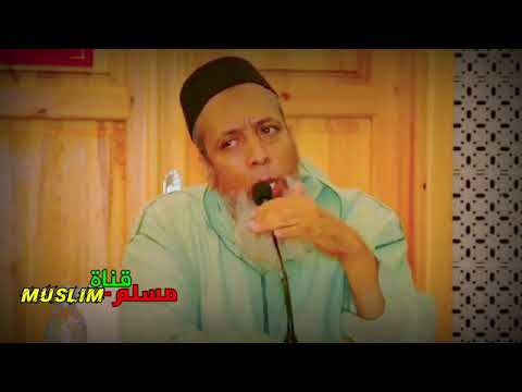 حبيبي جليبيب