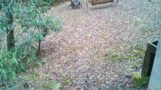 Creekside oasis 2