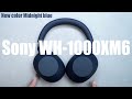 【新色登場】SonyのWH 1000XM6に使いやすいミッドナイトブルー追加
