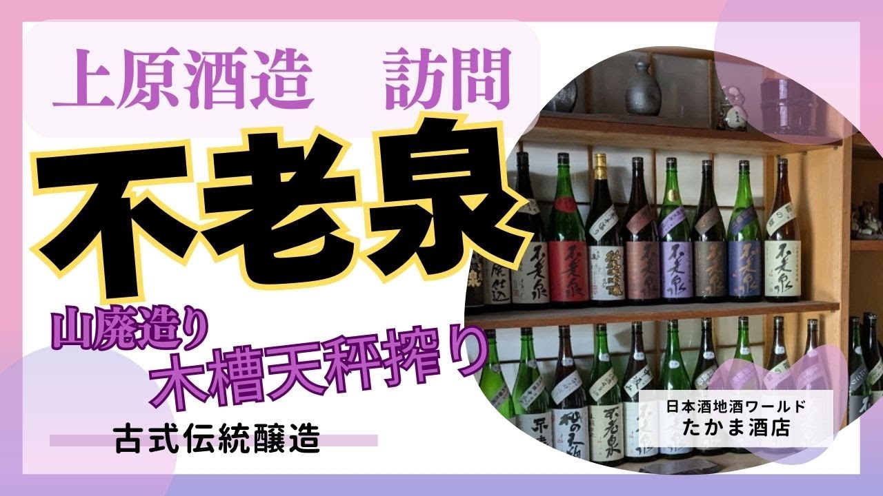 不老泉　上原酒造　訪問、古式にのっとった山廃造り　伝承蔵