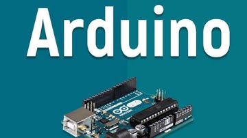 Découvrez le rôle de l