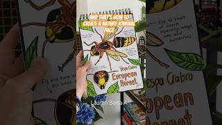 How to create a Nature Journal ✍🏻 #shortsvideo #shorts #naturejournal #nature #arttutorial #art #up