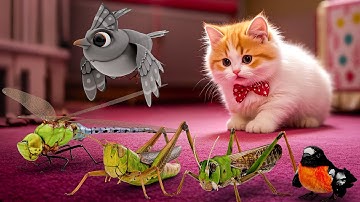 CAT GAMES - Catching 🦗🪰🐭🐦🐞🦎🛸! Ultimate Entertainment Video for Cats to Watch Vol 30 | 8 HOURS