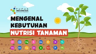 Mengenal Kebutuhan Nutrisi Tanaman screenshot 5