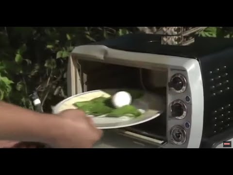 La receta de la POLLINGA Melonera!!! No se pierdan lo que hace con un huevo en el microondas!!!