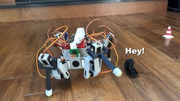 3D Printed Raspberry Pi Spider Robot Platform