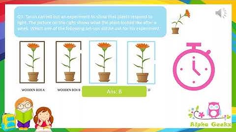 Quiz on Parts of a Plant - Module 1 (Chapter 1 - Olympiad Class 4 Science)