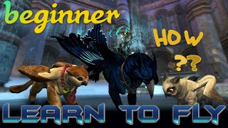 GW2: Griffon Kindergarten - a detailed guide for absolute beginners & common mistakes debug