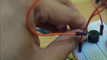 Arduino Uno Menggunakan Buzzer dengan Lagu Cicak-Cicak di Dinding