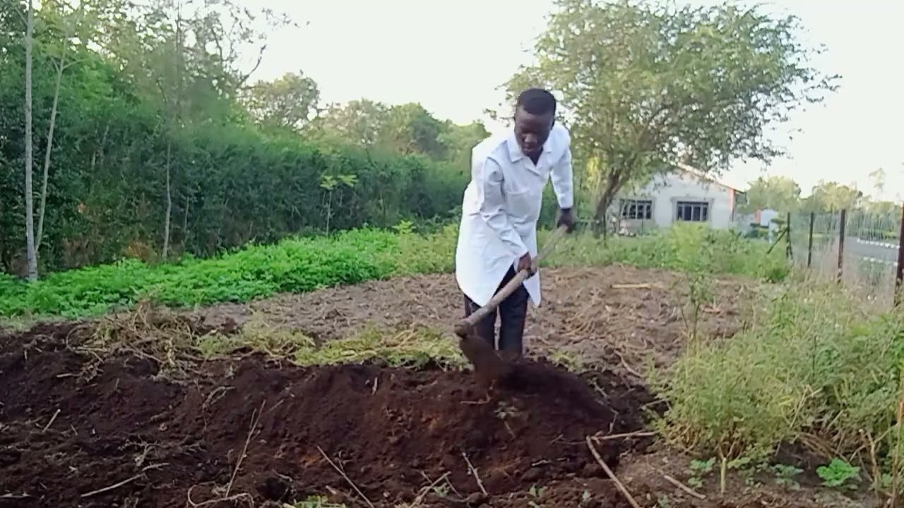 Preparing my little garden, ready for seeds 😀 part 1.