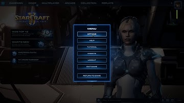 How To Enable Simple Command Card In StarCraft II