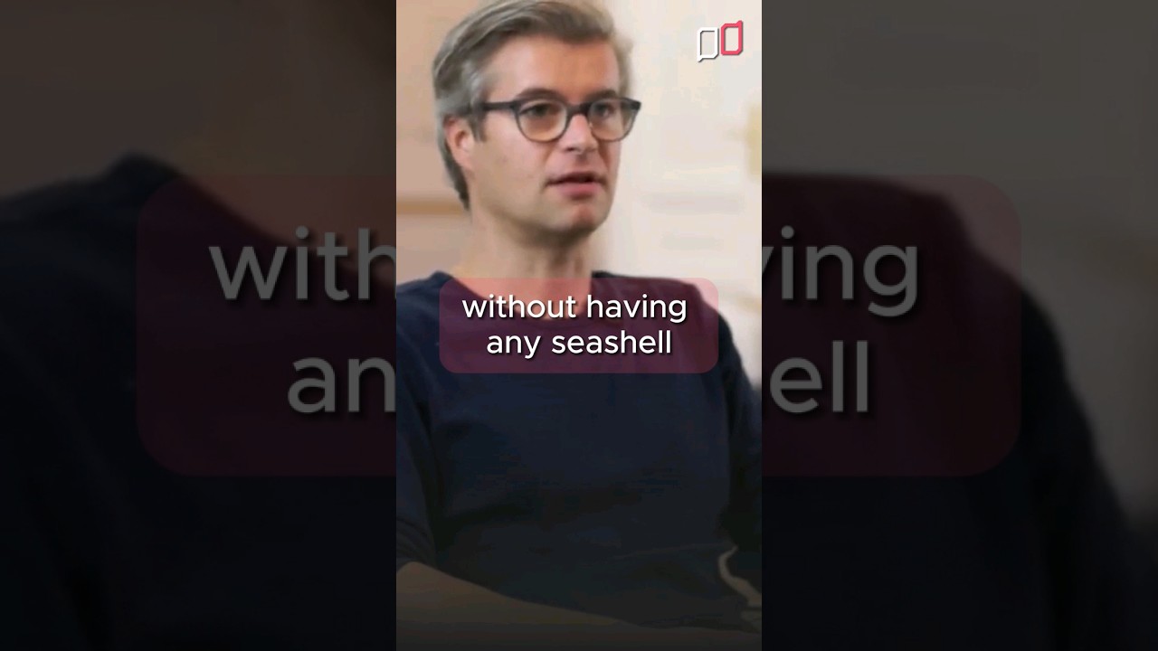 Without having any seashell | Thomas Feichtner - Design Stories