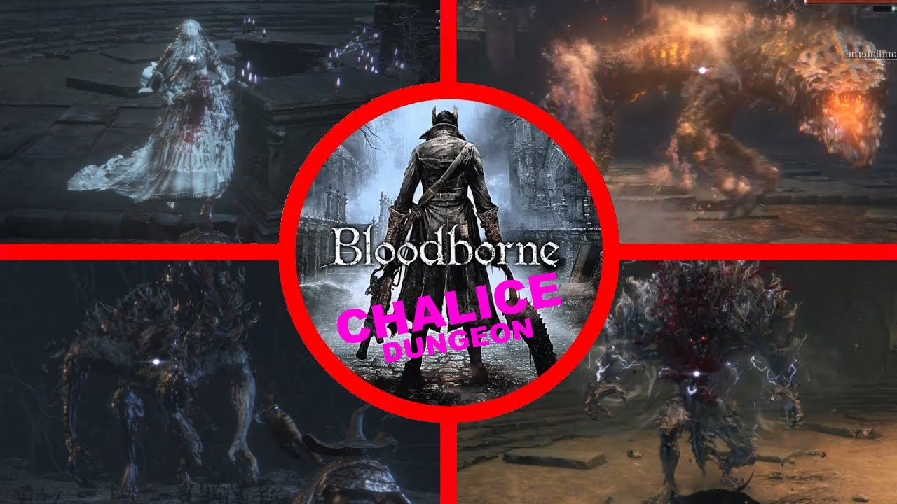 All 23 Bloodborne Chalice Dungeon Bosses PS4