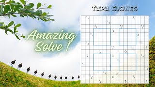 How to solve a Tapa (Clones) Variant Puzzle 