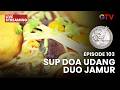 🔴 SUP DOA UDANG DUO JAMUR | EPS 103 | LIVE ARJUNA | 22 MEI 2026