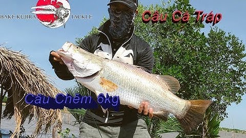 #11 Mẹo câu cá Tráp - Bình Đại mùa cá, câu chẽm 6kg bằng cần UL, nhiều quá không chở về hết.