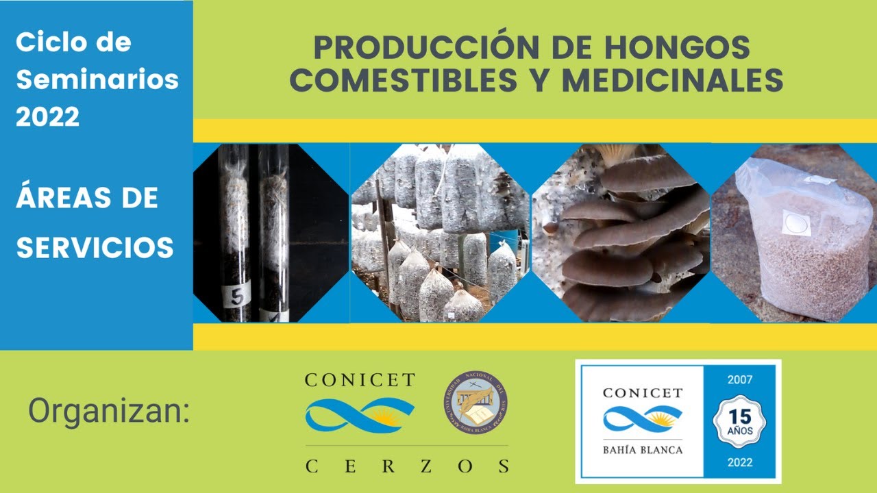 Seminario Hongos Comestibles y Medicinales
