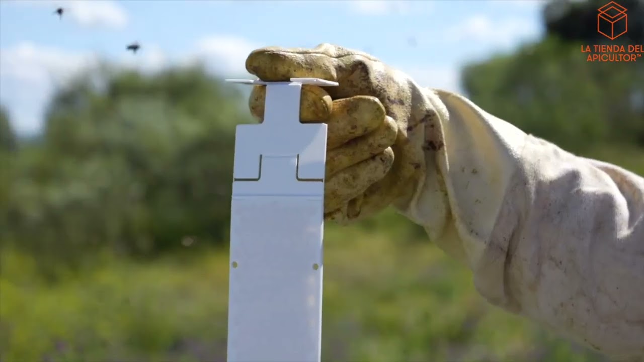 Calistrip Biox - Tratamiento contra varroa - Guía