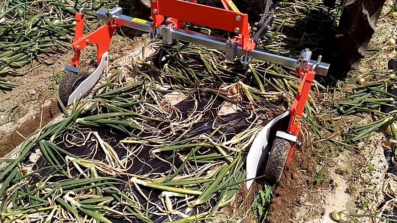玉ねぎ根切機 愛知県 Onion キュウホー Ashoragri Youtube