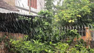 Heavy Rain In The Garden  Relaxing Rain Sounds  Rain For Sleeping and Studying  White Noise