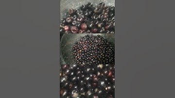 Cách ngâm rượu nho rừng #ruounhorung