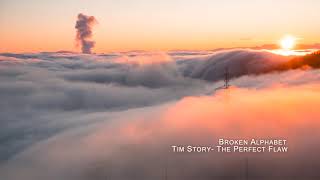 Tim Story - Broken Alphabet - The Perfect Flaw