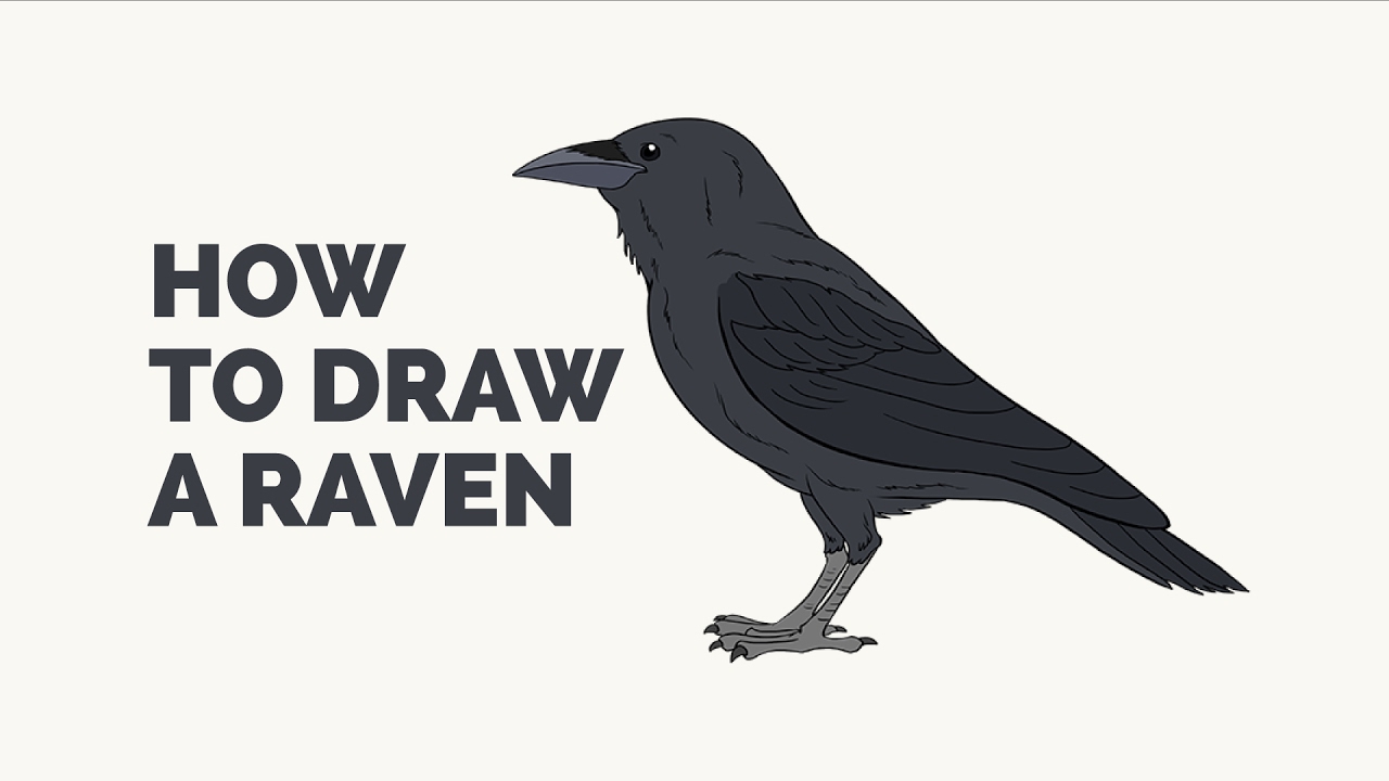 How to Draw a Raven - Easy Step-by-Step Drawing Tutorial - YouTube