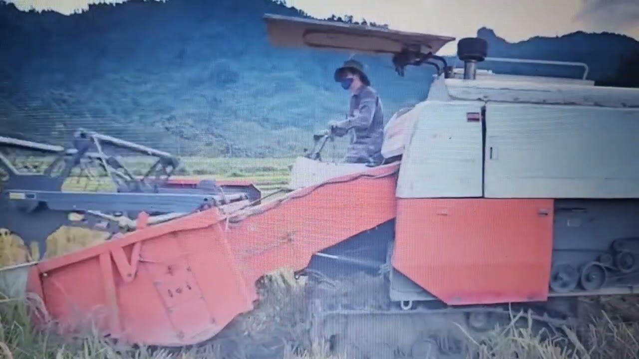 orphan boy surviving in the wild | an emotional story about strength and will to live