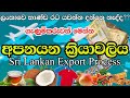 Sri Lankan Export Process Step By Step | Export Procedure For Small Business Entrepreneur's