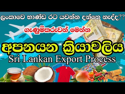 Sri Lankan Export Process Step By Step | Export Procedure For Small Business Entrepreneur&rsquo;s