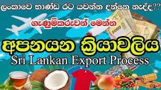 Sri Lankan Export Process Step By Step | Export Procedure For Small Business Entrepreneur's