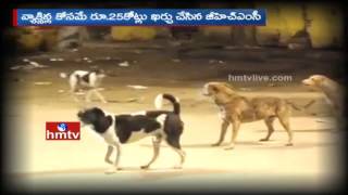 Ghmc Spends Rs 5000 Per Dog On Vaccines Costing Rs 40 In Market Hmtv